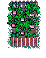 Untouched turnip patch, next to ransacked twin, in the Spring Garden