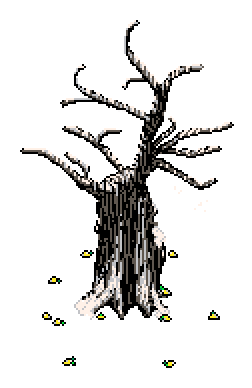 Husk of a winter tree leaning to far-left treeline, snow on bare branches, surrounded by fallen lemons in the Winter Garden